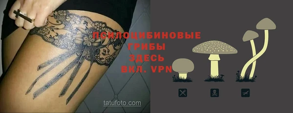 СК Нея