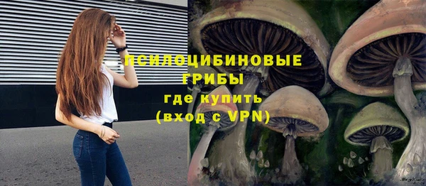 СК Нея