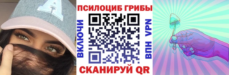 Галлюциногенные грибы Psilocybine cubensis  Купить закладки  Курган 